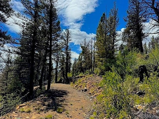 2022 Middle Fork Vi, Fairplay, CO 80440