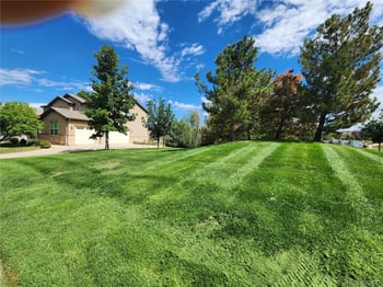 3311 Graylock Rn, Broomfield, CO 80023