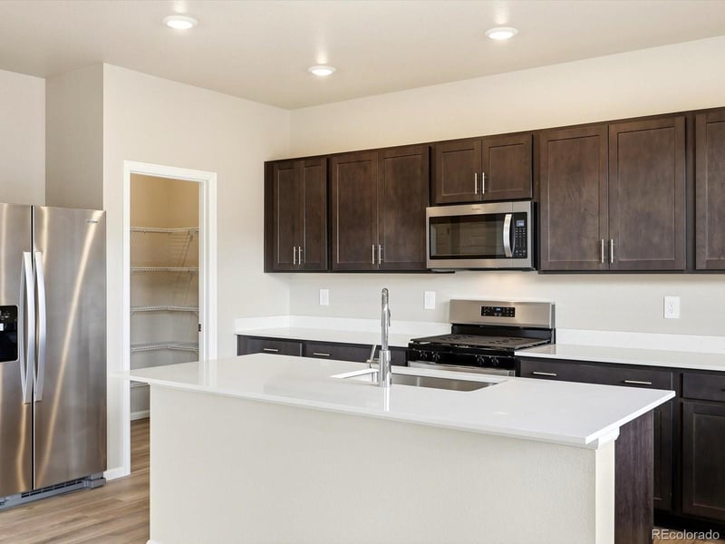1679 Yampa River Dr, Windsor, CO 80550