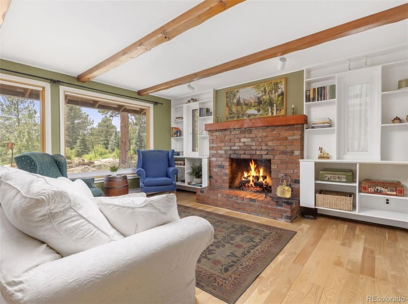 251 Mountain View Ln, Estes Park, CO 80517