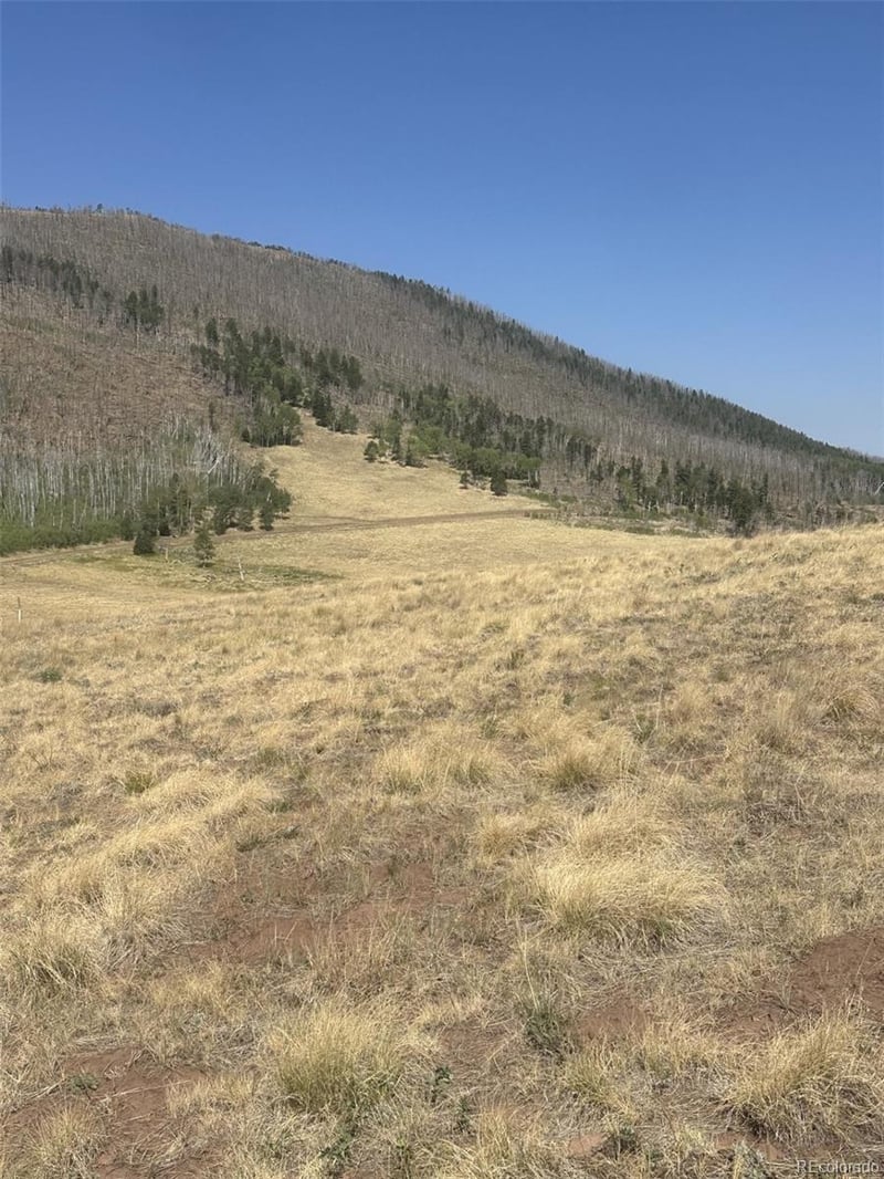 2343 Sigler Dr, Fort Garland, CO 81133