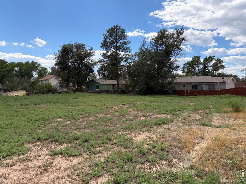 3911 Cleveland Ave, Wellington, CO 80549