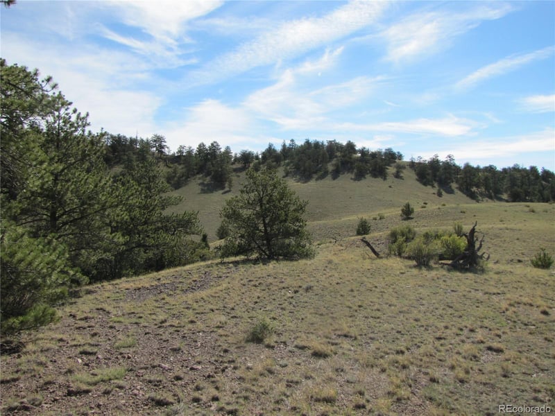 227 Keechi Rd, Hartsel, CO 80449