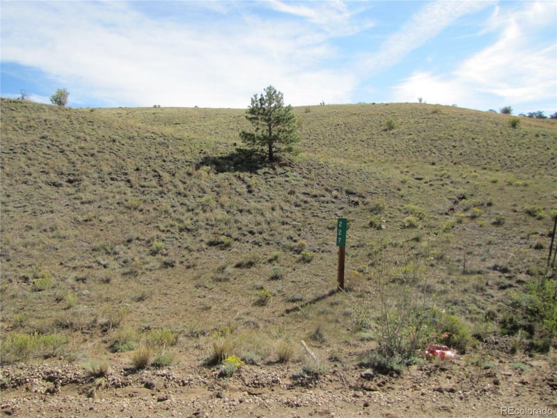 227 Keechi Rd, Hartsel, CO 80449