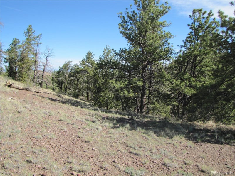 227 Keechi Rd, Hartsel, CO 80449