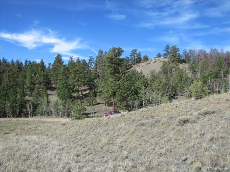 227 Keechi Rd, Hartsel, CO 80449