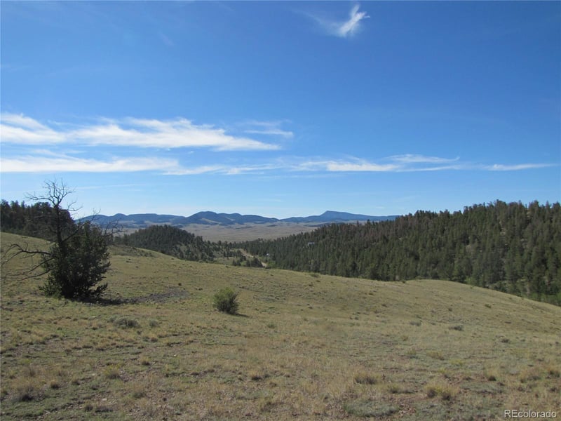 227 Keechi Rd, Hartsel, CO 80449