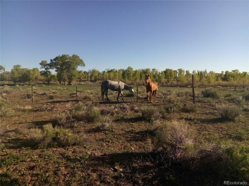 14717 County Road E5, Antonito, CO 81120
