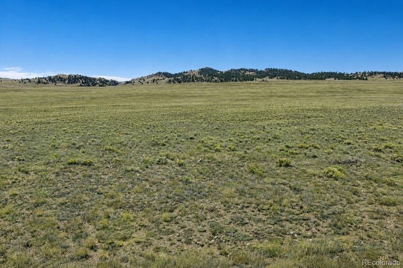 1234 Toltec Trl, Hartsel, CO 80449