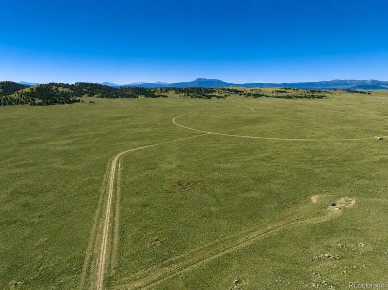 1234 Toltec Trl, Hartsel, CO 80449