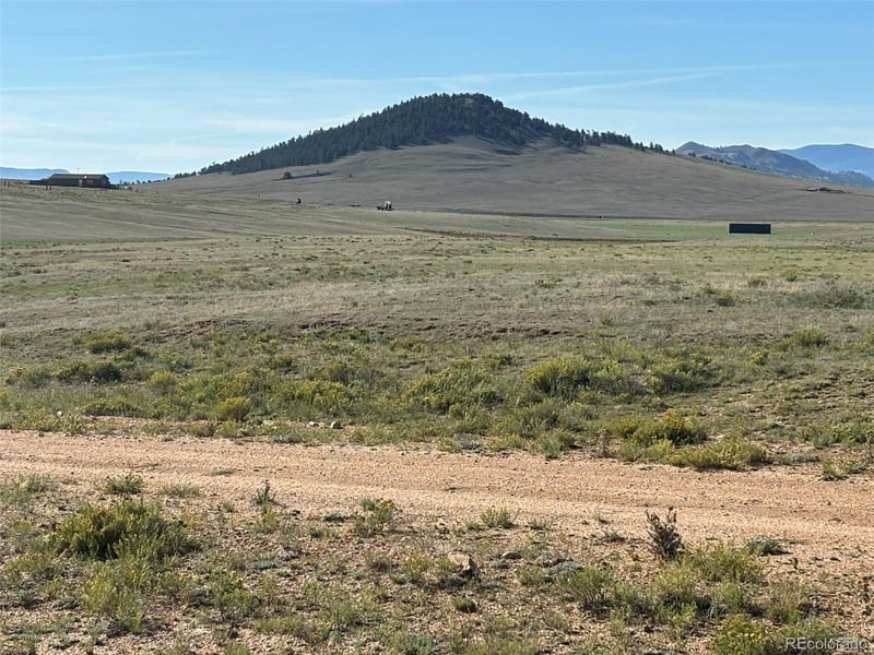 6561 Jackson Rd, Hartsel, CO 80449