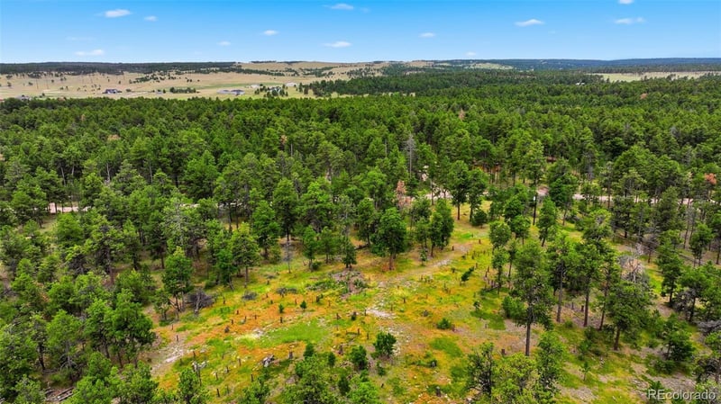 17374 W Goshawk Rd, Colorado Springs, CO 80908