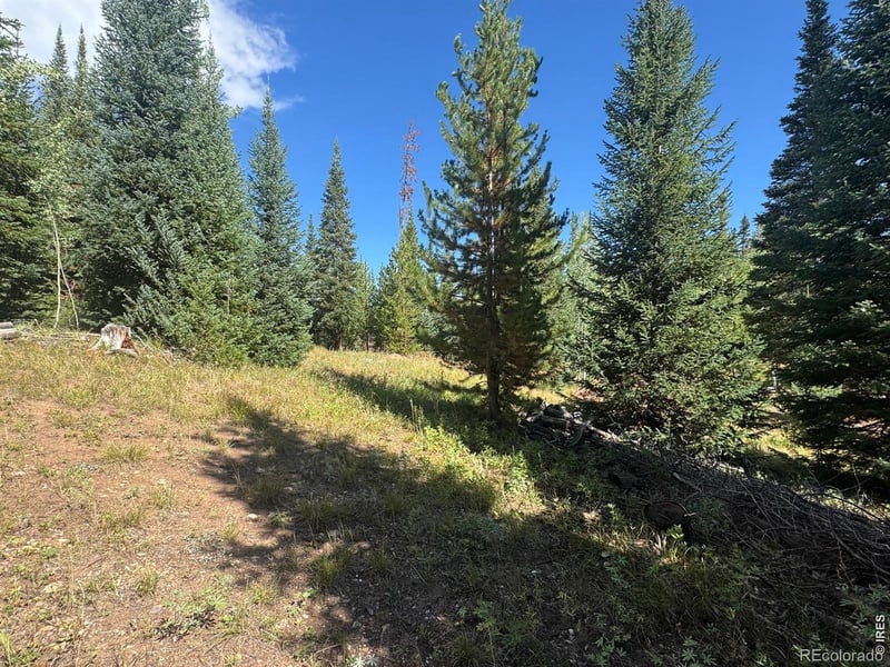 67 Alpine Ln, Walden, CO 80430