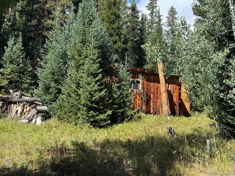 67 Alpine Ln, Walden, CO 80430