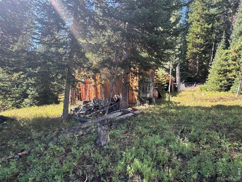 67 Alpine Ln, Walden, CO 80430