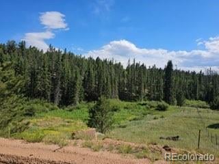 1164 Arapahoe Creek Trl, Florissant, CO 80816