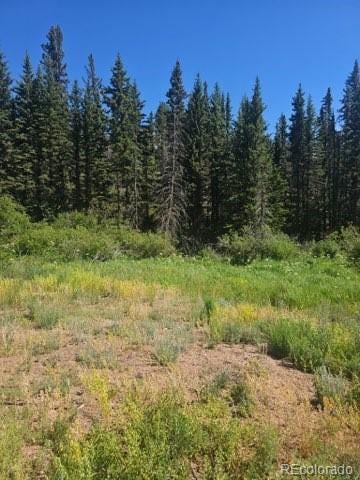 1164 Arapahoe Creek Trl, Florissant, CO 80816