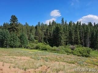 1164 Arapahoe Creek Trl, Florissant, CO 80816