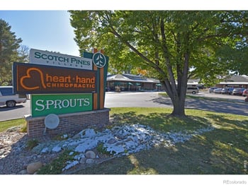1024 E Swallow Rd #311, Fort Collins, CO 80525