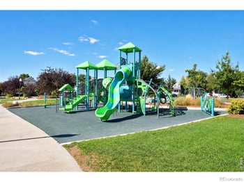 1414 Canal Dr, Windsor, CO 80550