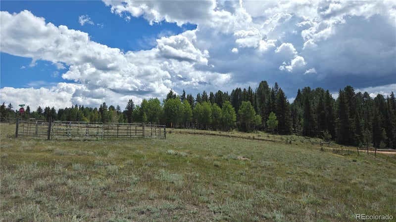 99 Uintah Ridge Rd, Florissant, CO 80816