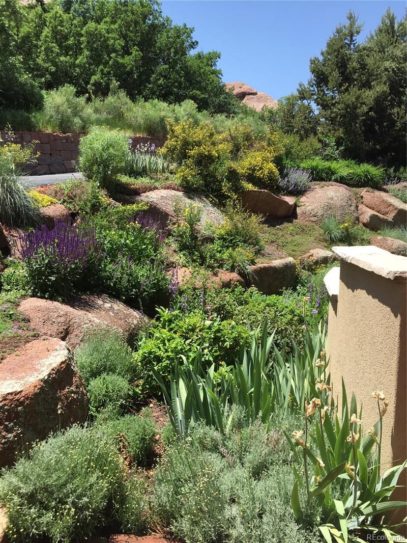 9193 S Buffalo Dr, Littleton, CO 80127