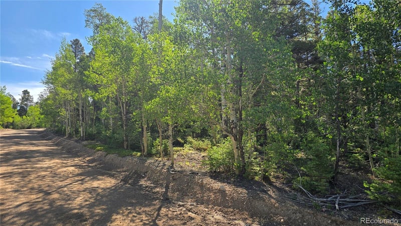 Lot 5816 Balleroy Rd Lot 5816, Fort Garland, CO 81133