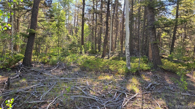 Lot 5816 Balleroy Rd Lot 5816, Fort Garland, CO 81133