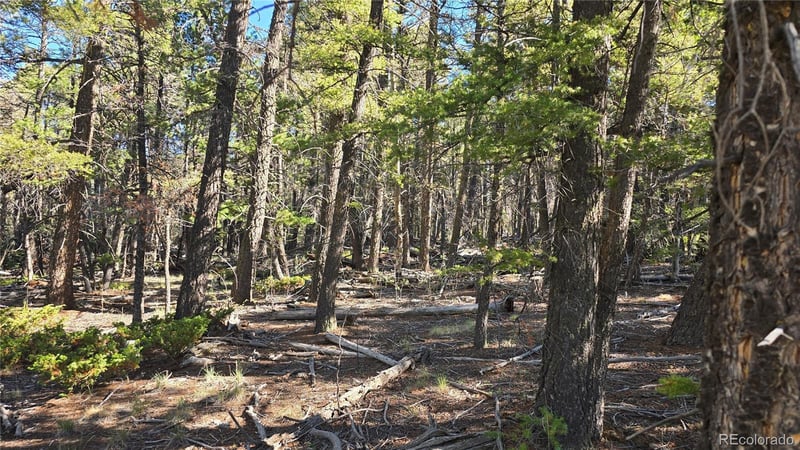 Lot 5816 Balleroy Rd Lot 5816, Fort Garland, CO 81133