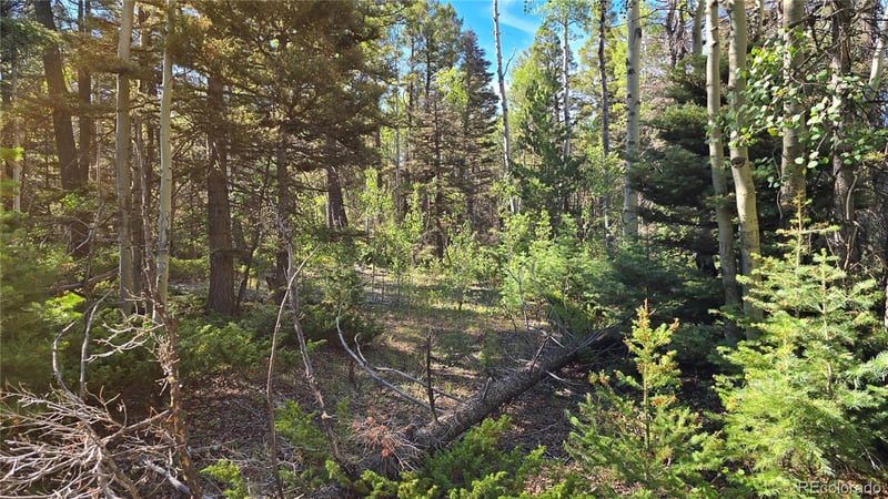 Lot 5816 Balleroy Rd Lot 5816, Fort Garland, CO 81133