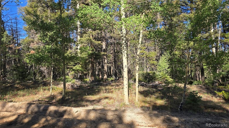 Lot 5816 Balleroy Rd Lot 5816, Fort Garland, CO 81133