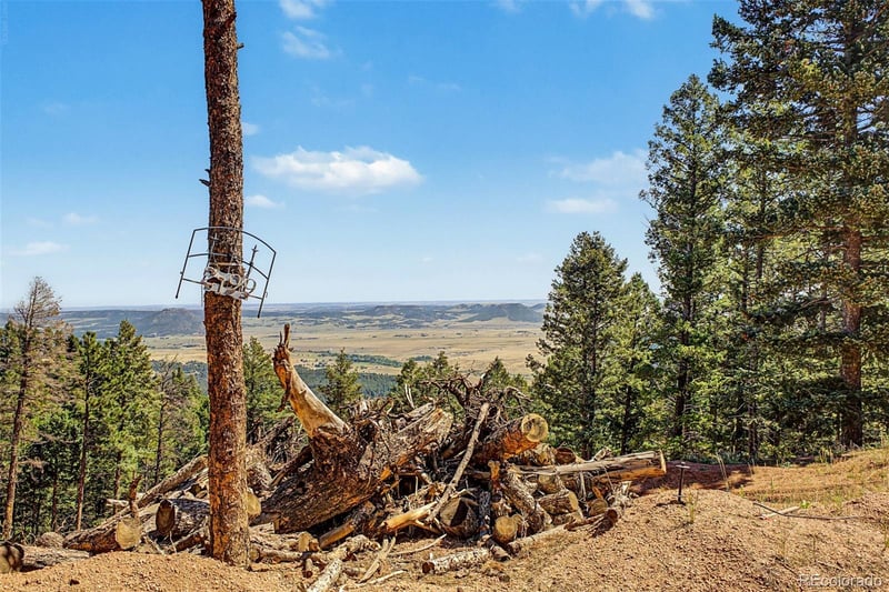 2199 Badger Dr, Larkspur, CO 80118