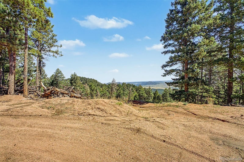 2199 Badger Dr, Larkspur, CO 80118
