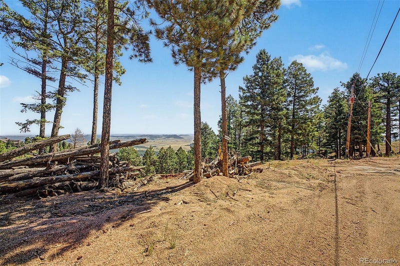 2199 Badger Dr, Larkspur, CO 80118