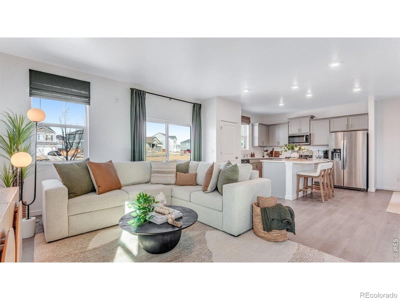 1008 Annelles Pool Ln, Severance, CO 80550