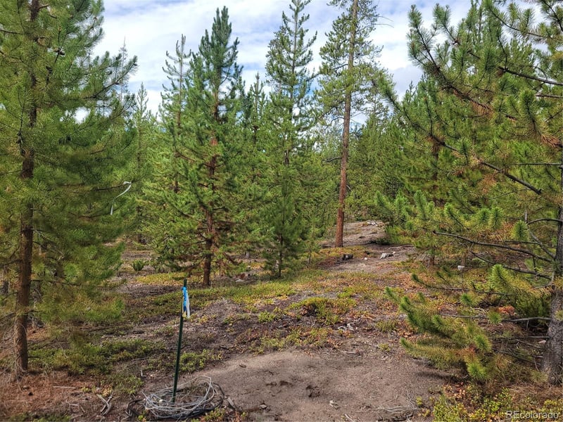 65 Grand County Road 6621, Grand Lake, CO 80447