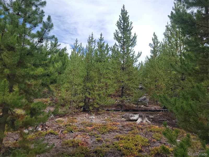 65 Grand County Road 6621, Grand Lake, CO 80447