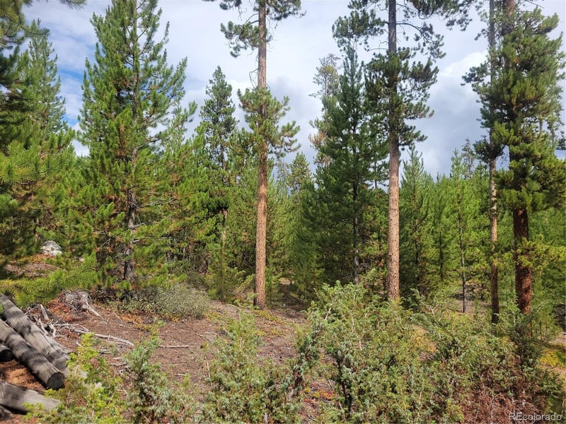 65 Grand County Road 6621, Grand Lake, CO 80447