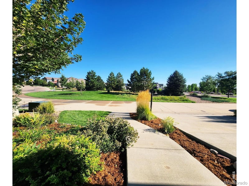 4440 Long Pine Lake Dr, Loveland, CO 80538