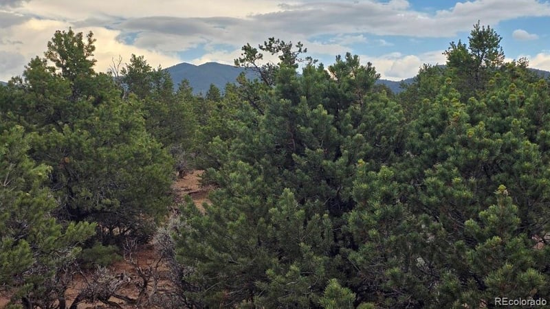 Lot 1862 Wilking Rd, Fort Garland, CO 81133