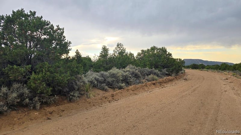 Lot 1862 Wilking Rd, Fort Garland, CO 81133