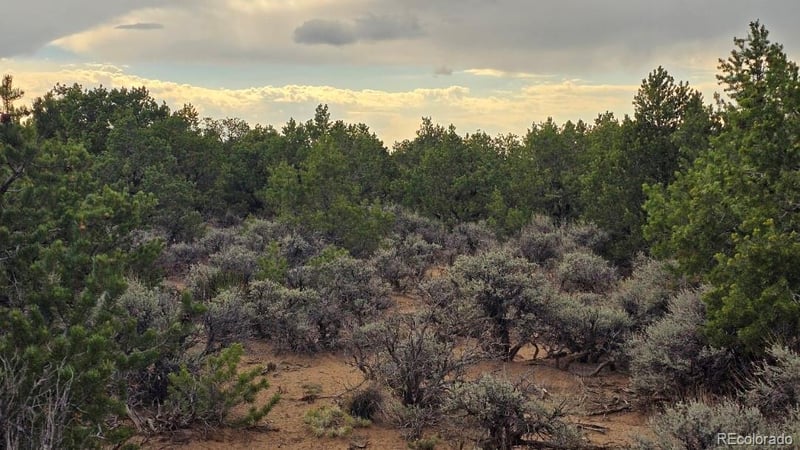 Lot 1862 Wilking Rd, Fort Garland, CO 81133