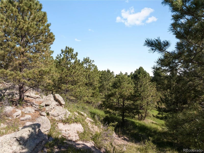 18673 N Elbeer Rd, Elbert, CO 80106