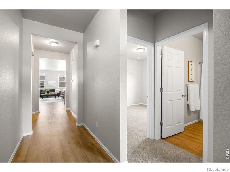 3622 Torch Lily St, Wellington, CO 80549
