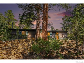 360 Ski Rd E, Allenspark, CO 80510
