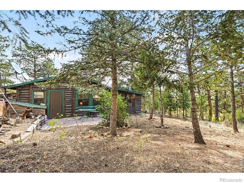 360 Ski Rd E, Allenspark, CO 80510