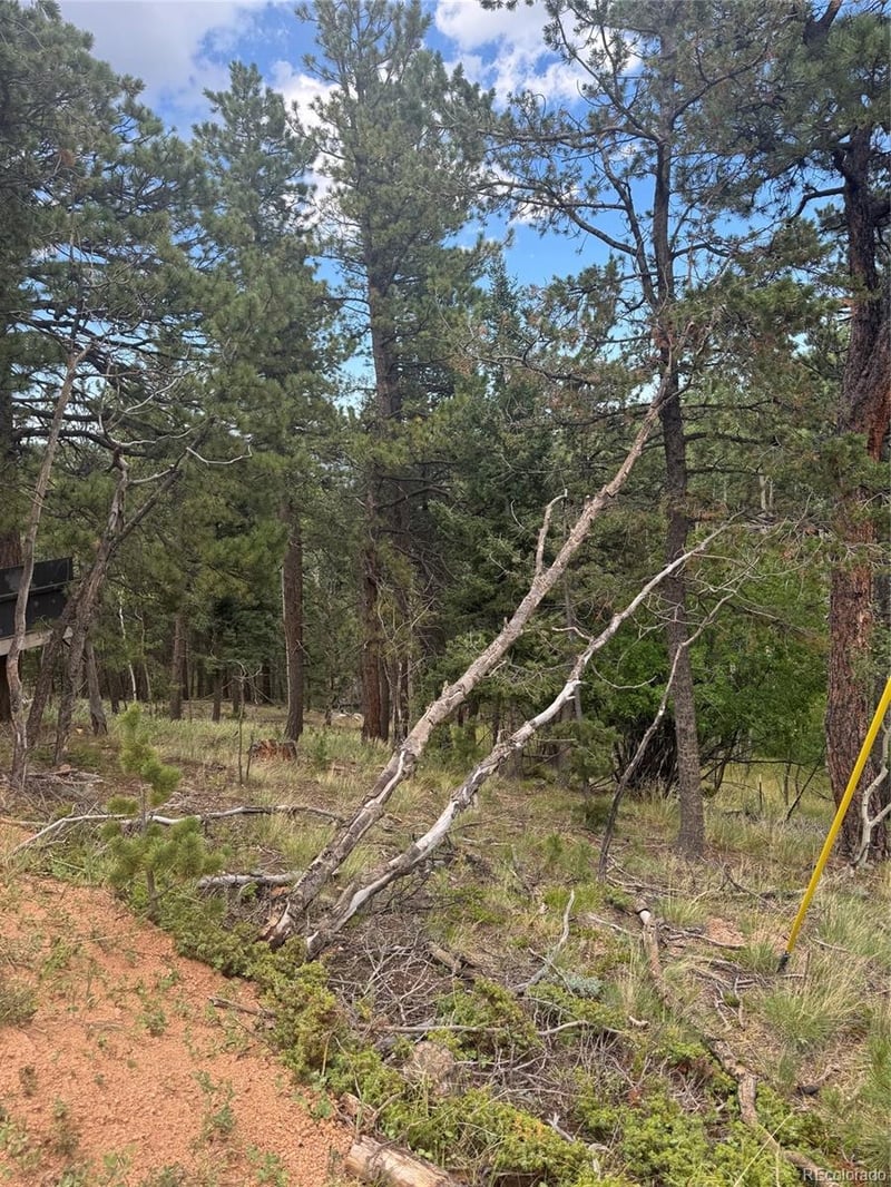 40 Sequoia Trl Lot 25, Woodland Park, CO 80863