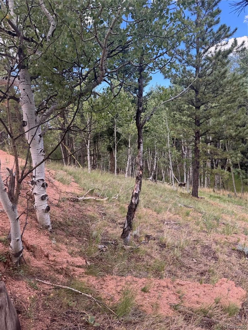 40 Sequoia Trl Lot 25, Woodland Park, CO 80863