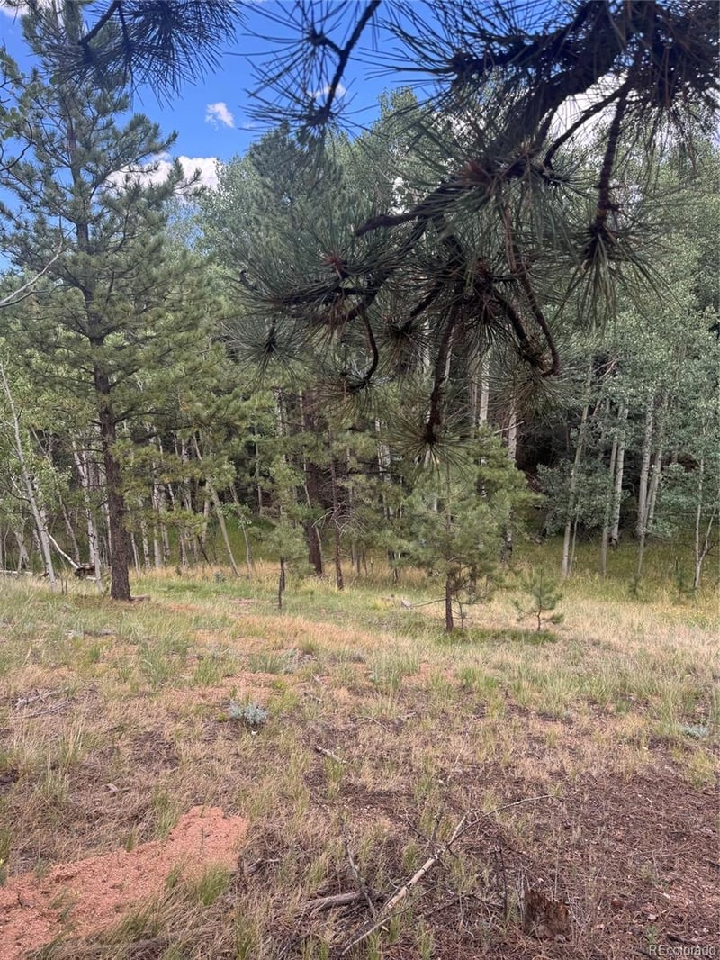 40 Sequoia Trl Lot 25, Woodland Park, CO 80863
