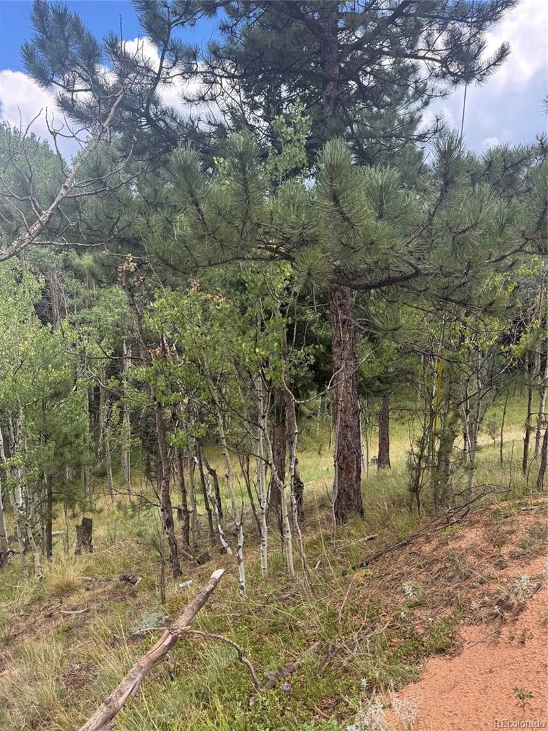 40 Sequoia Trl Lot 25, Woodland Park, CO 80863